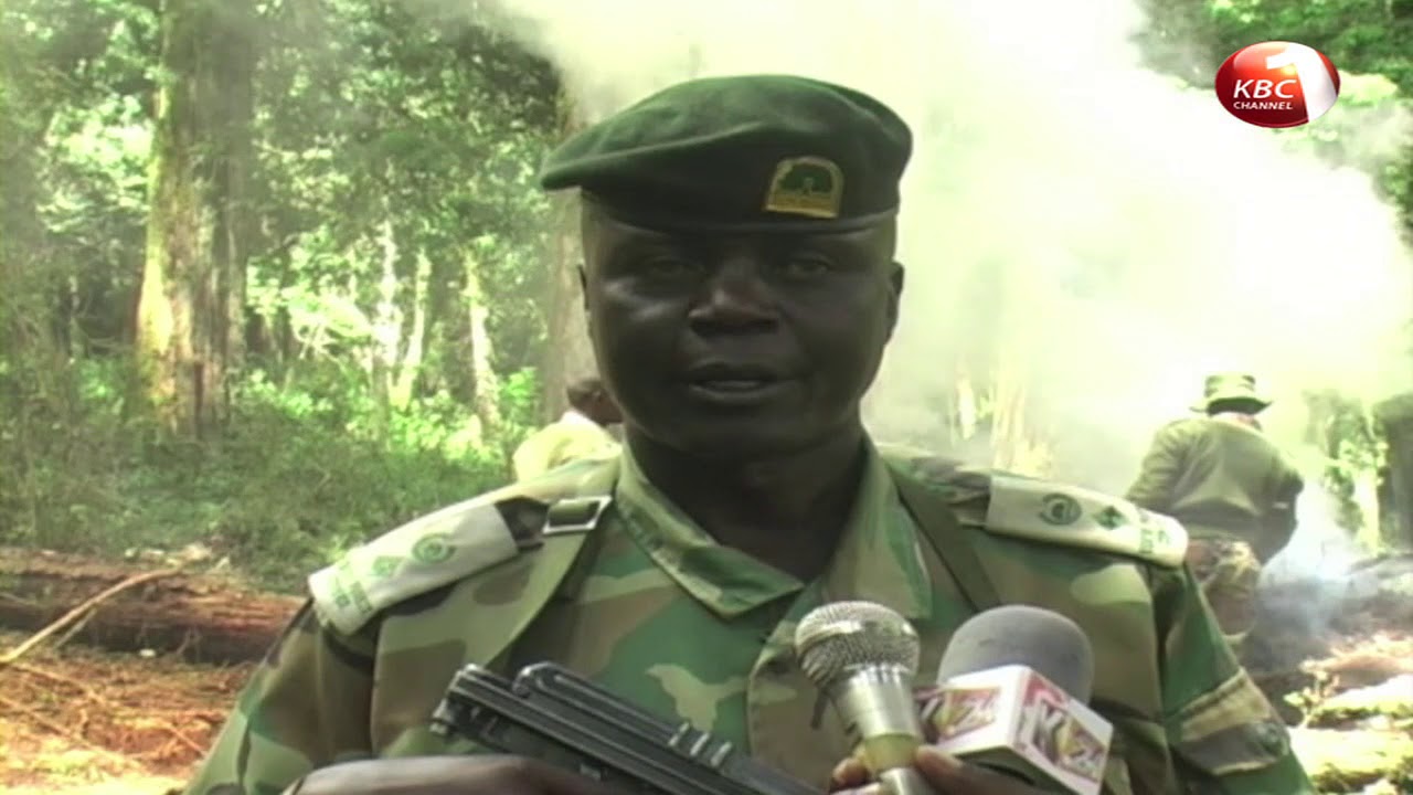 Kenya Forest Service rangers mount a major crackdown in Mau forest