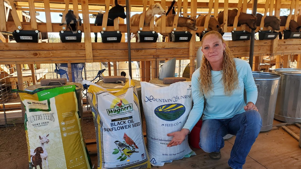 What We Feed Our Goats