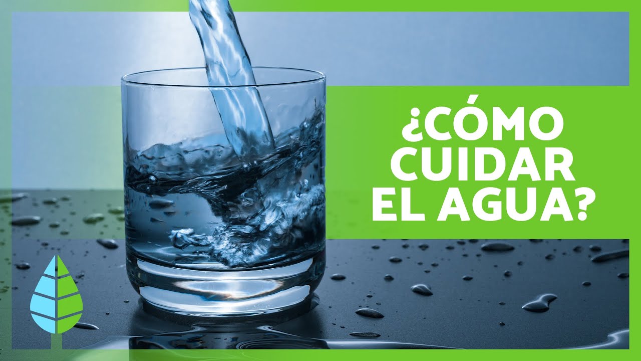 10 ACCIONES para CONSERVAR el AGUA 💧✅  &iquest;Qu&eacute; podemos hacer para CUIDAR el AGUA?