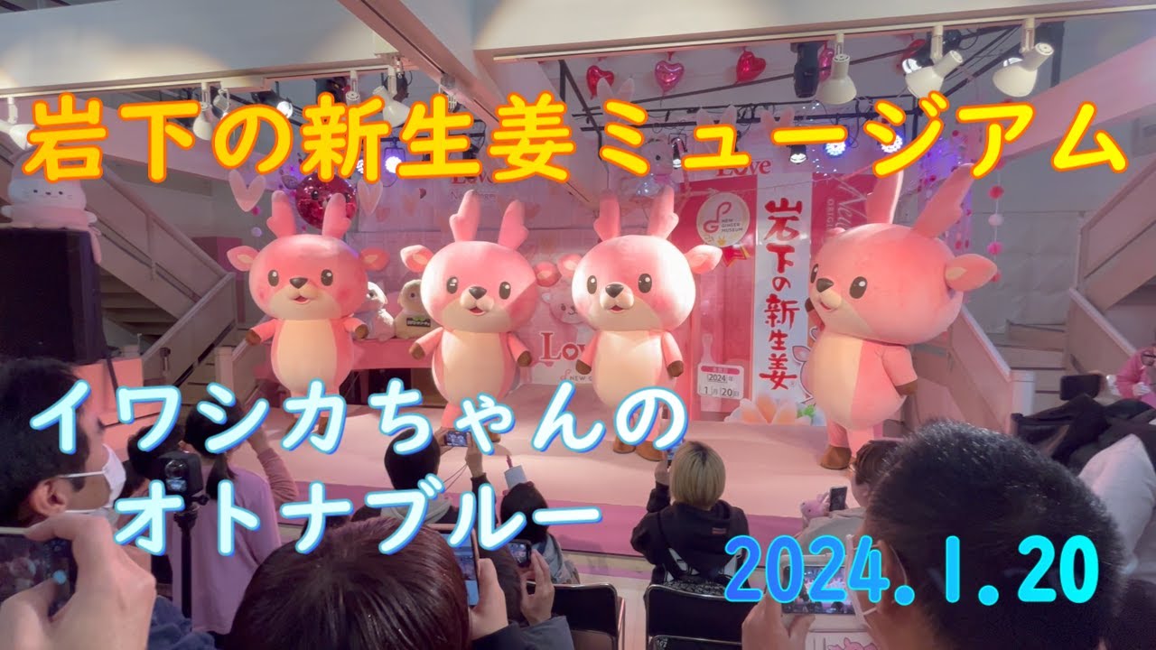 岩下の新生姜ミュージアム　イワシカのダンス　オトナブルー