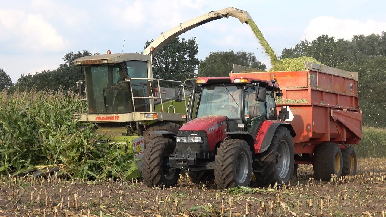 Mais hakselen bij Duine met Claas Jaguar 860, Case IH JXU 85 & John Deere 6900 (2018)