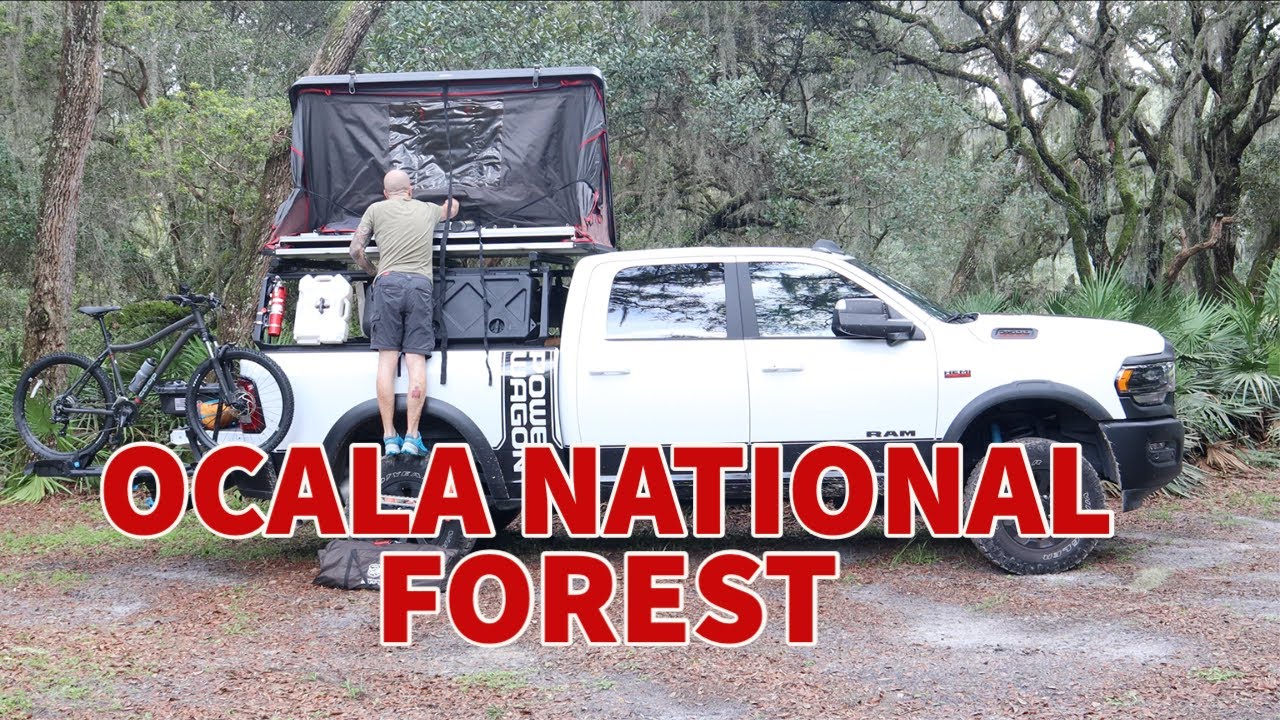 Ocala National Forest | Florida&rsquo;s Overlanding Destination