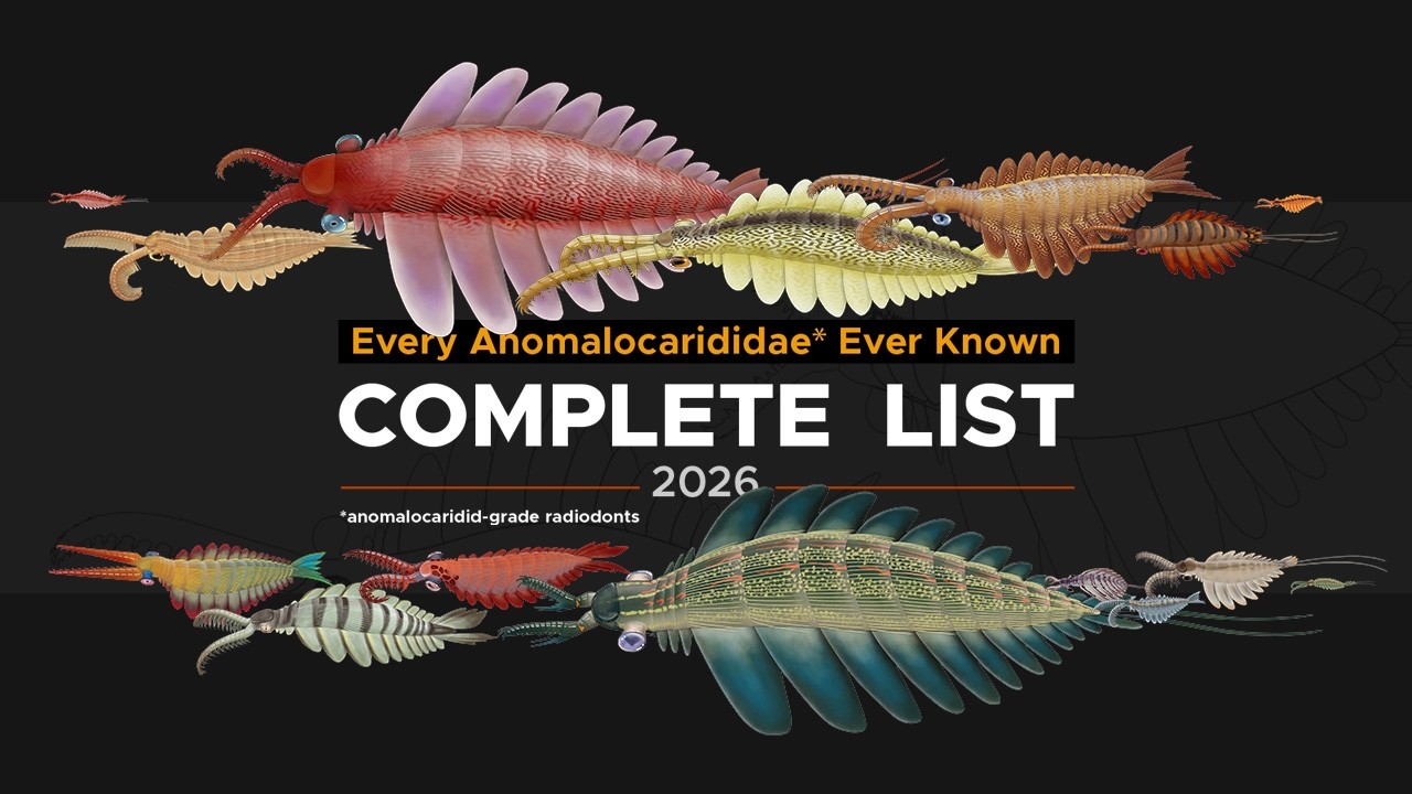 Все радиодонты класса Anomalocaridid, пояснение.