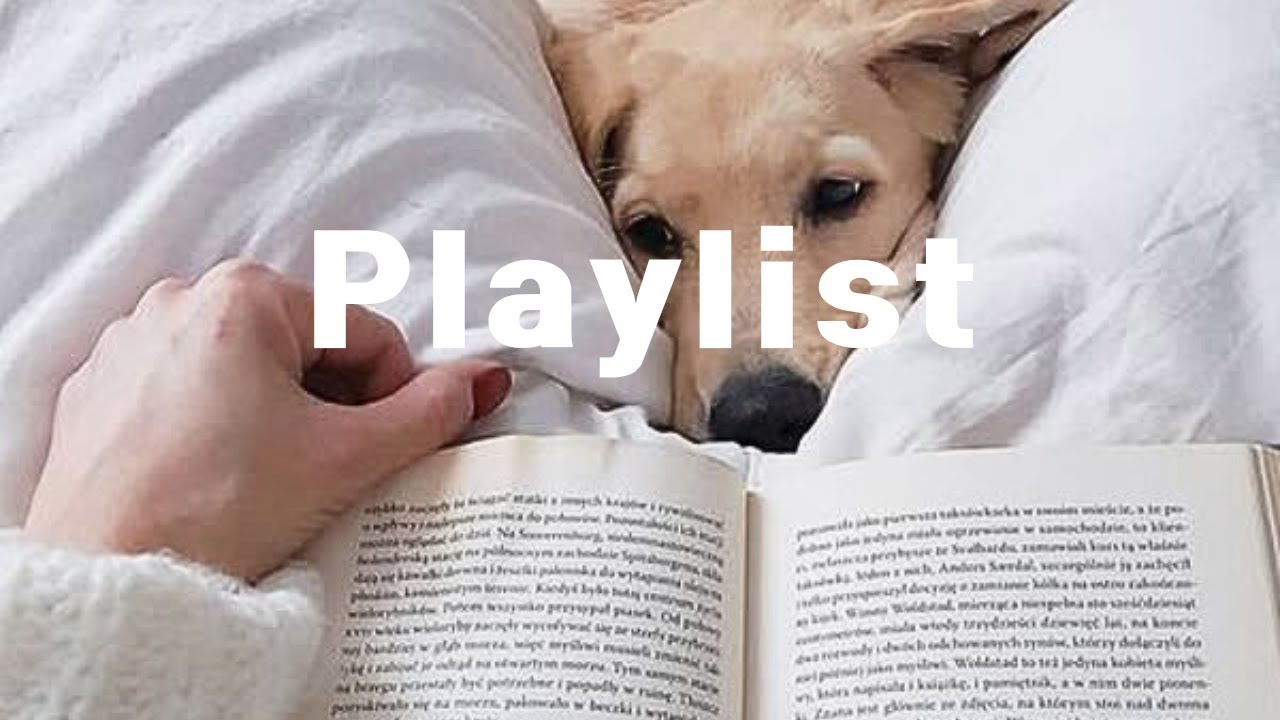𝗽𝗹𝗮𝘆𝗹𝗶𝘀𝘁 반려견과 함께 듣기 좋은 피아노곡 ☁ 🐶| Calm Piano for Your Dog