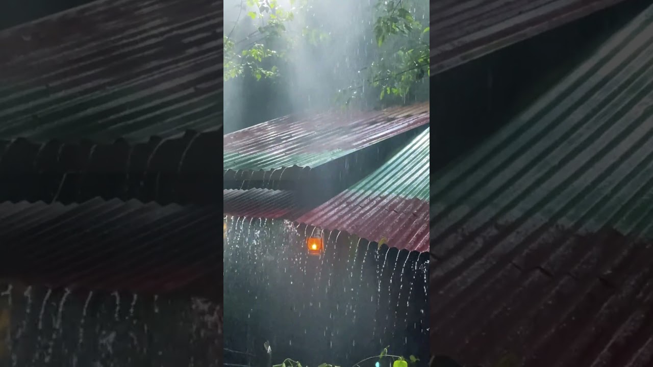 Rain on Roof 🌧️ | Purely Satisfying Sound 