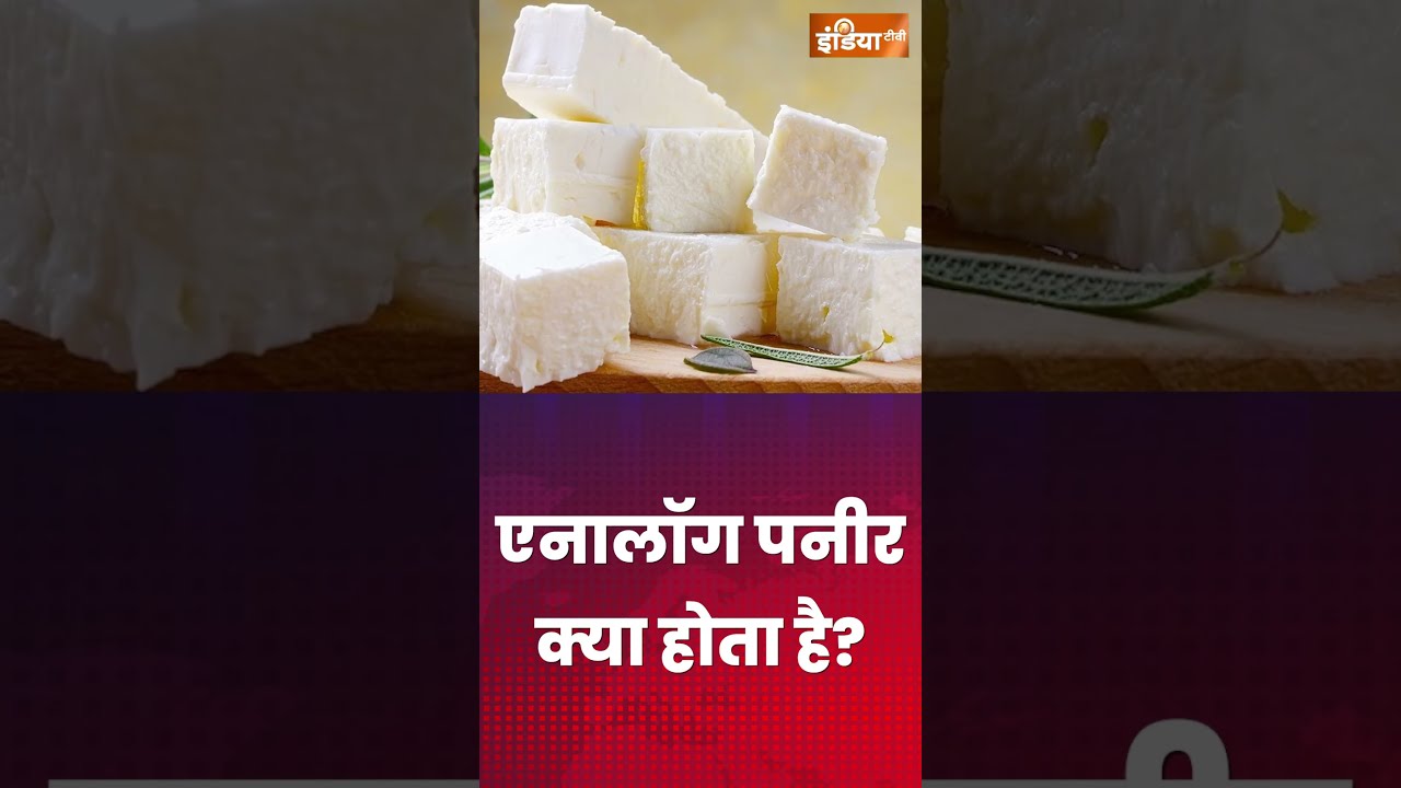 Analogue Paneer | क्या है एनालॉग पनीर, असली से कितना अलग ? | #analoguepanee #cheeze #shorts