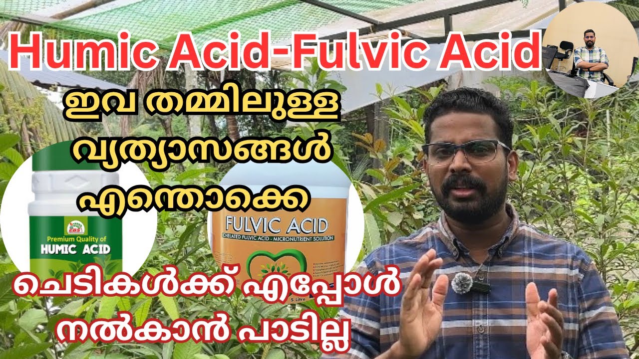 Humic Acid & Fulvic Acid തമ്മിലുള്ള വ്യതാസങ്ങൾ എന്തൊക്കെ? | എപ്പോൾ ചെടികൾക്ക് നൽകാൻ പാടില്ല |