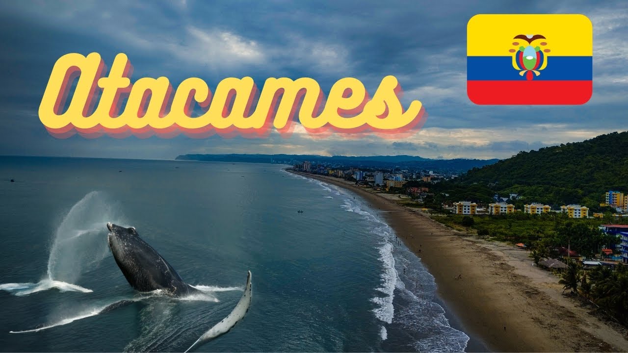 ATACAMES: Avistamiento de ballenas en la playa natural más grande del Ecuador