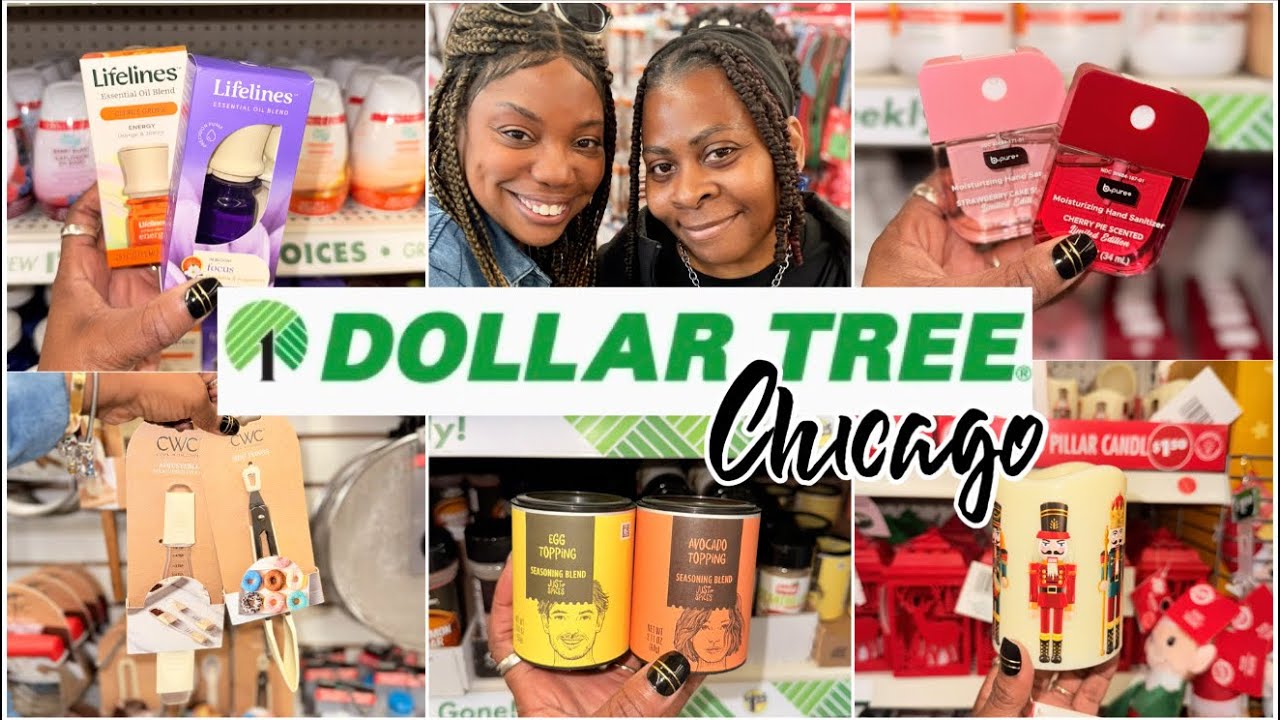 💚 CHICAGO DOLLAR TREE SHOP WITH ME | MET ANOTHER CREATOR + NEW FINDS YOU'LL LOVE!