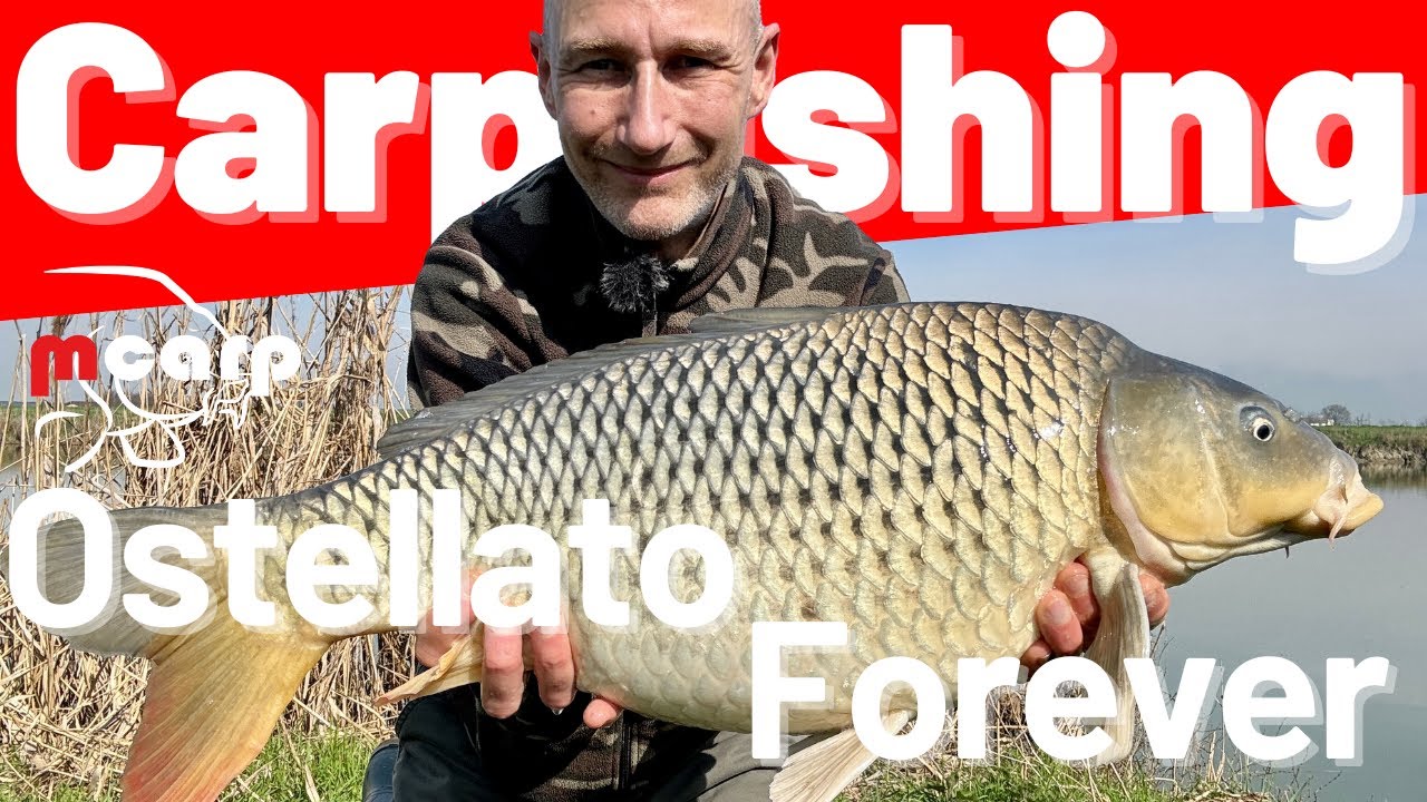 Carpfishing 🎣 Forever Ostellato 😍 Canale Circondariale Bando - Valle Lepri