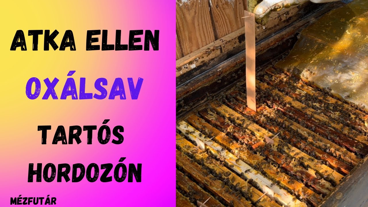 Atka ellen- oxálsav tartós hordozón