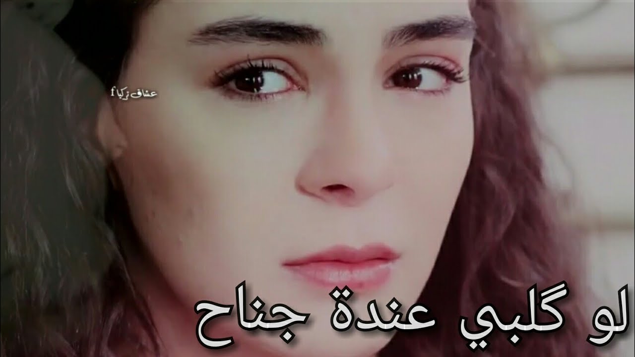 reyyan miran  ريان و ميران .لو قلبي عندة جناح ،قائد حلمي