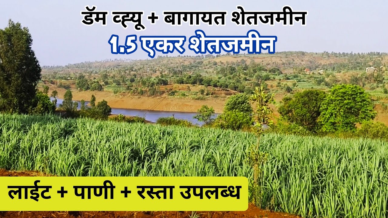बागायत शेतजमीन ! ऊस शेती ! डॅम व्ह्यू प्रॉपर्टी ! agriculture land for sale