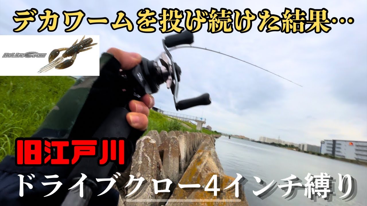 【東京湾奥チニング】デカいワーム使えばデカいチヌが釣れるんじゃない？