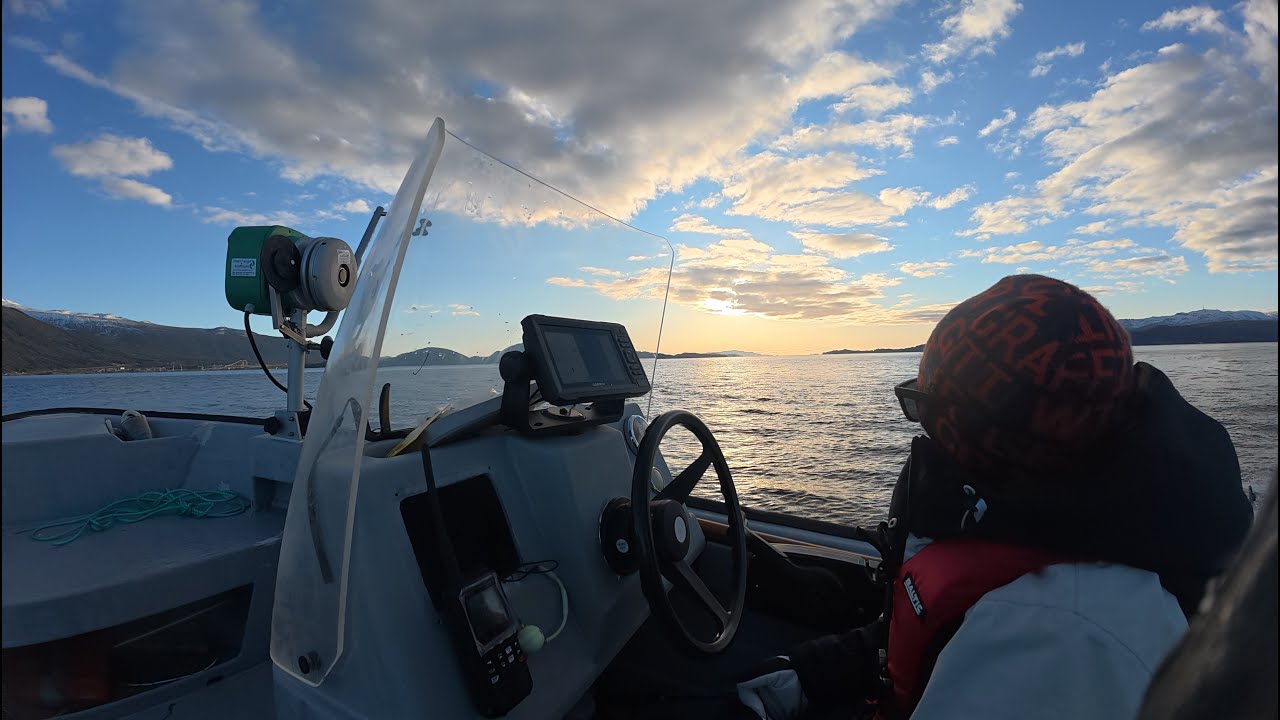 Garn- og teinefiske i flott vær med dyktig hjelp!