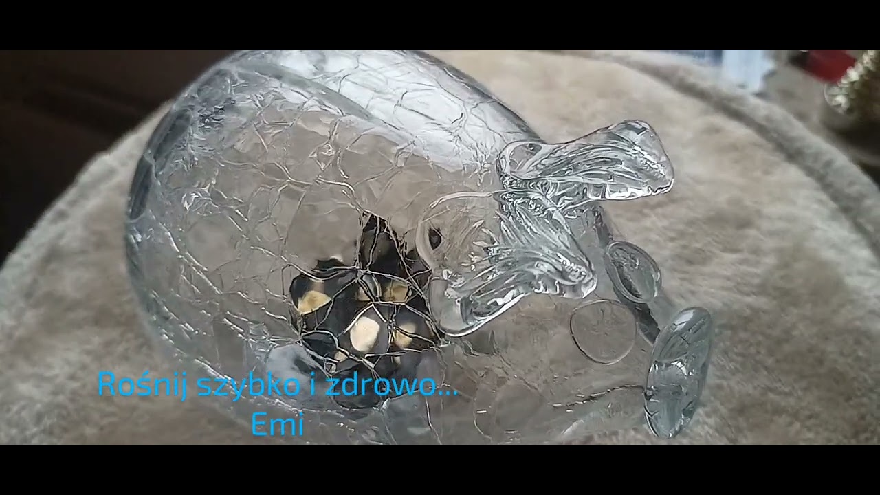 Urodzinowa Emila i ja 202508