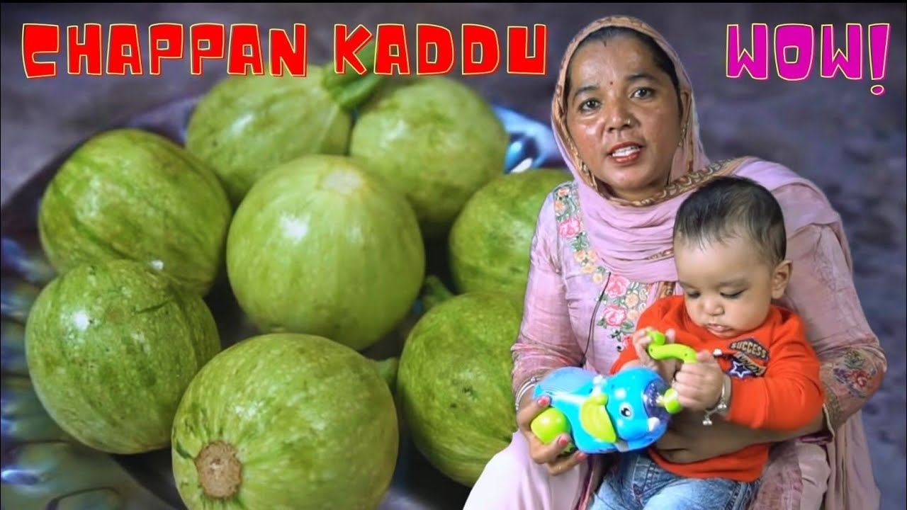 DELICIOUS Chappan Kaddu, Tinda, Sabji Recipe step by step