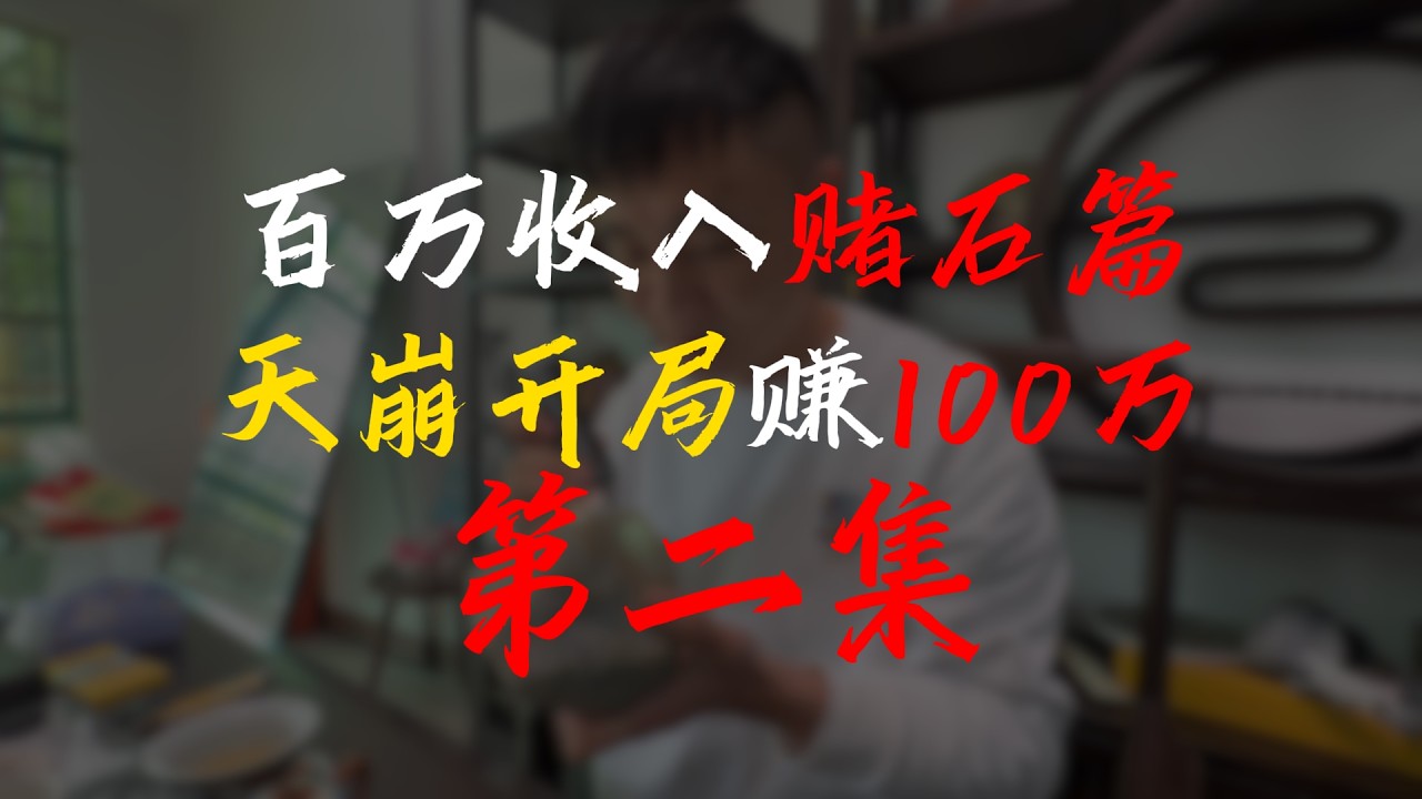 百万收入之赌石篇！开局收入100万？第二集【钻石林老五】#翡翠 #古玉收藏