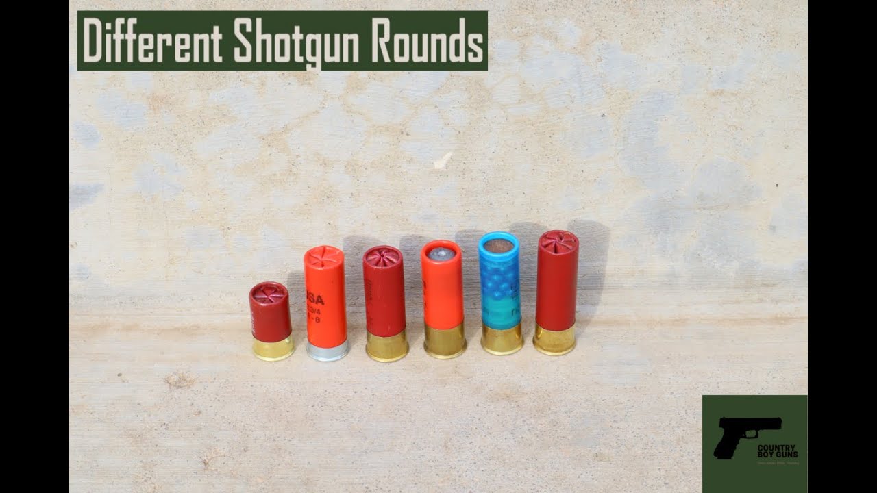 Types of Shotgun Shells