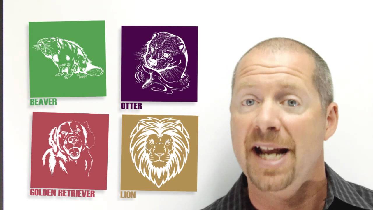TeamBuild Animal Personality Assessment Video