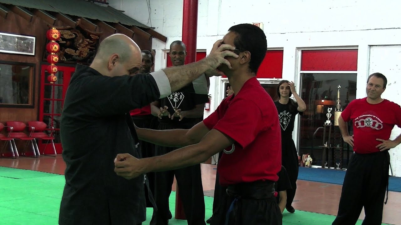 A STUDY OF MONKEY KUNG FU APPLICATIONS #kungfu #monkeykungfu #kungfuconnection