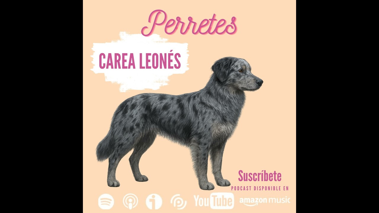 Ep96: Carea leonés