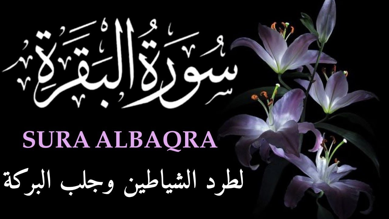 سورة البقرة كاملة بصوت علاء عقل 🤍 تلاوة خاشعة تجلب السكينة والبركة وتطرد الشياطين
