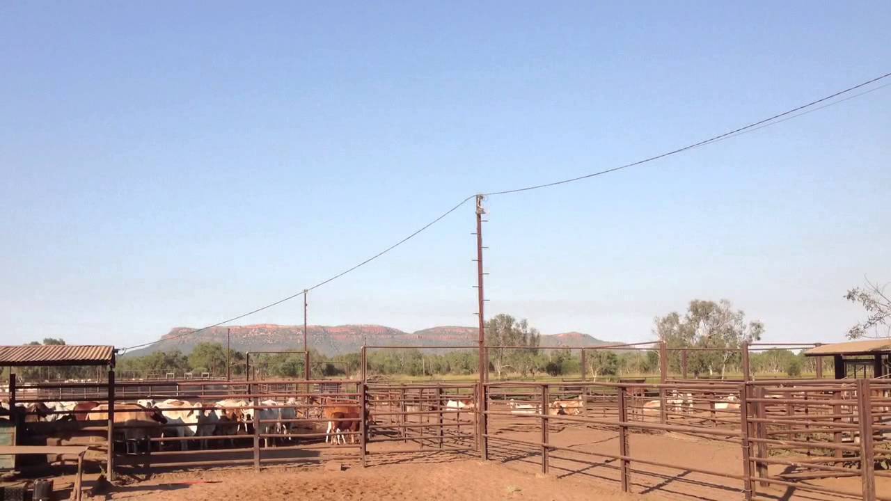 Contract Mustering NT