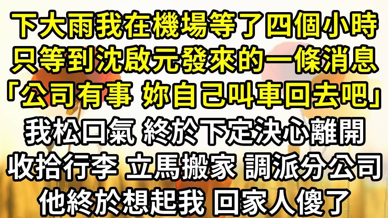 下大雨我在機場等了四個小時。只等到沈啟元發來的一條消息，公司有事，妳自己叫車回去吧，我松口氣 終於下定決心離開，收拾行李立馬搬家調派分公司，他終於想起我回家人傻了