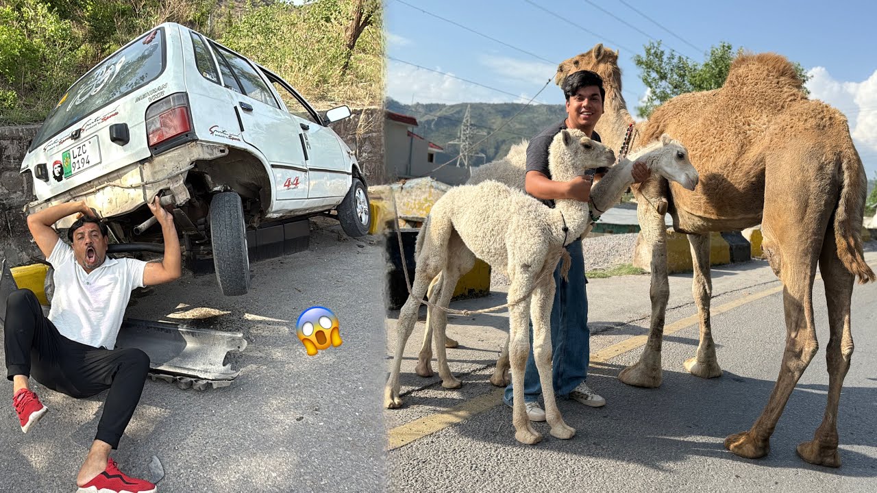 Road Pr Accident Howa 😱 Dilbar Jesa Camel Dhond Lea 🥰