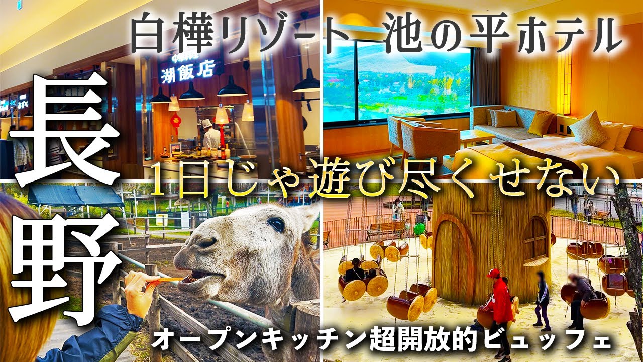 【遊びまくり】ファミリーもカップルも楽しめる白樺リゾート池の平ホテル