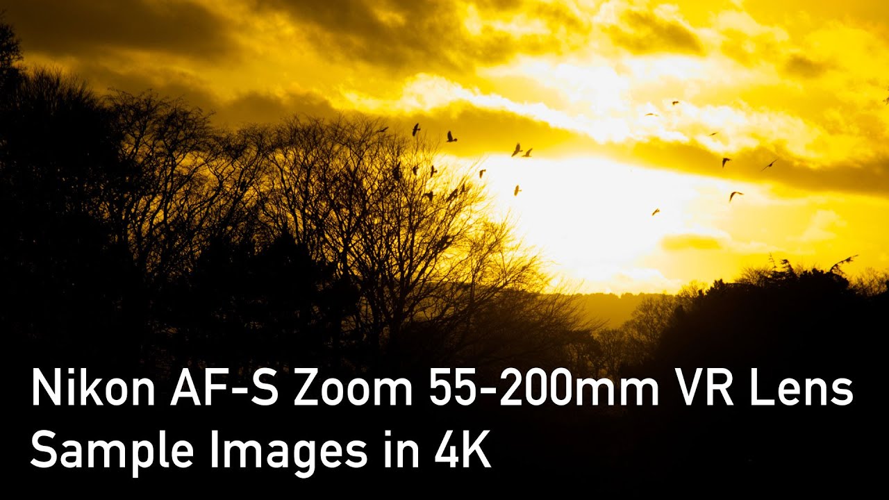 Nikon AF-S DX VR Nikkor 55-200mm f/4-5.6G Lens Sample Images in 4K