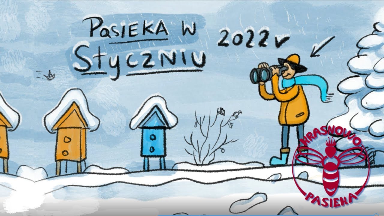 Co robić w pasiece w styczniu?
