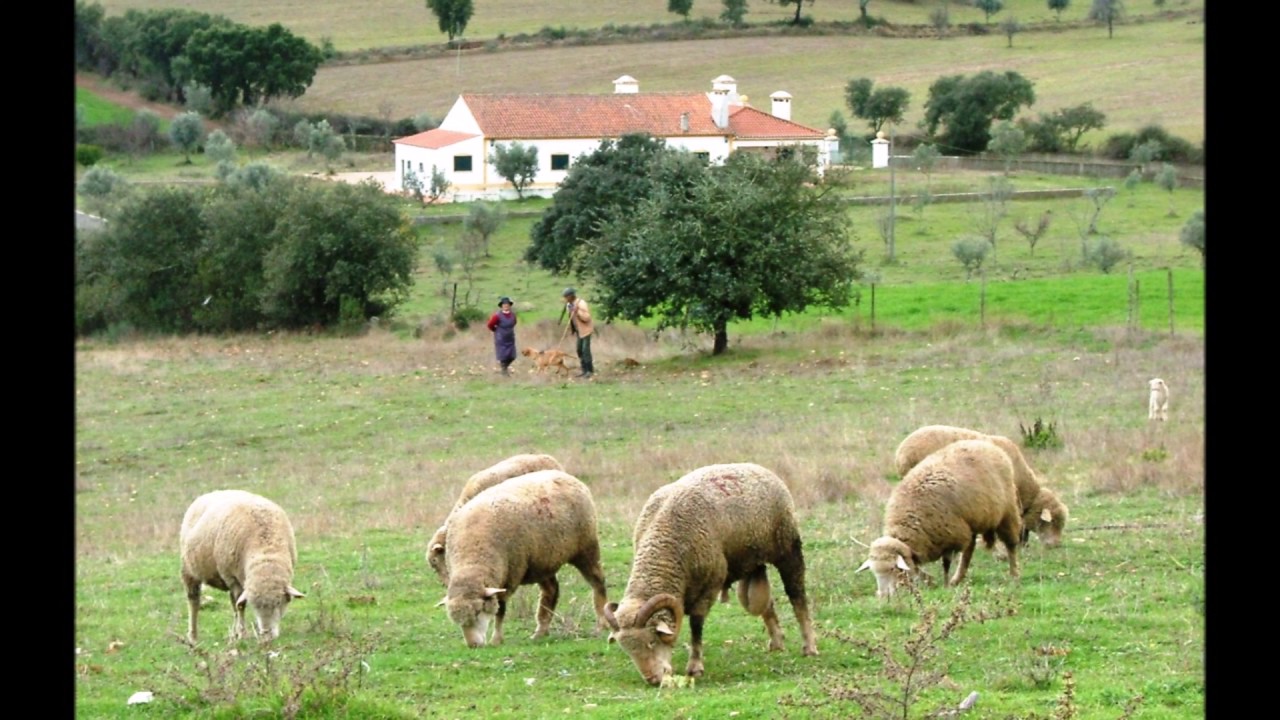 Venham ver o Alentejo