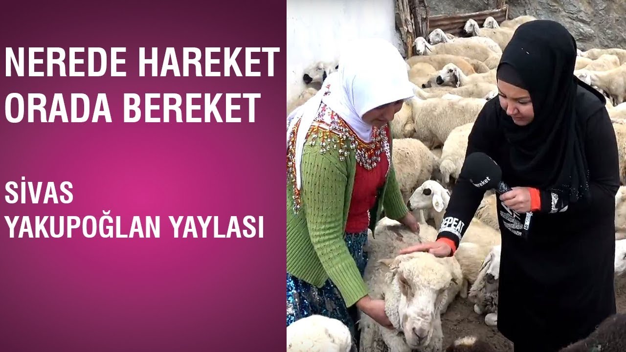 İkbal Gürpınar İle Nerede Hareket Orada Bereket - Sivas / Yakupğlan Yaylası
