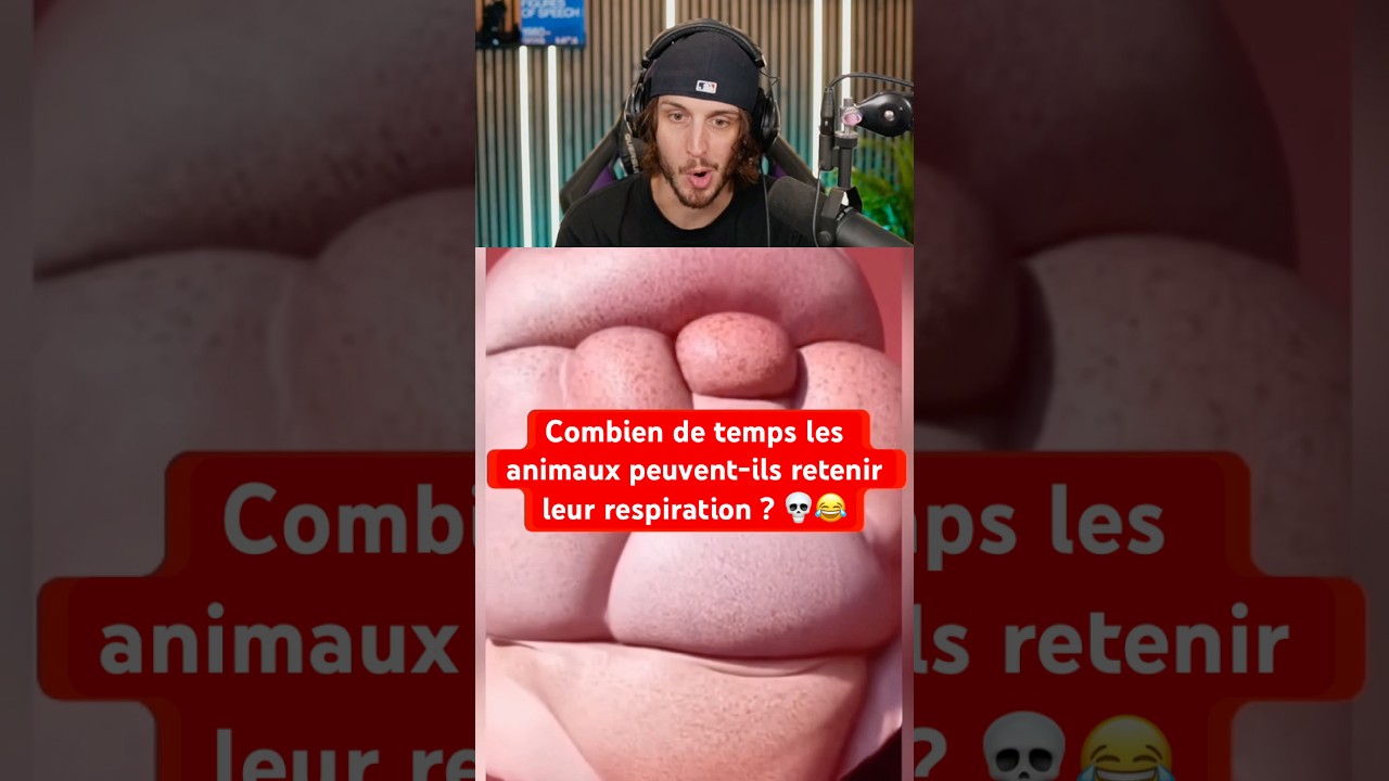 COMBIEN DE TEMPS LES ANIMAUX PEUVENT-ILS RETENIR LEUR RESPIRATION ?! 💀😂