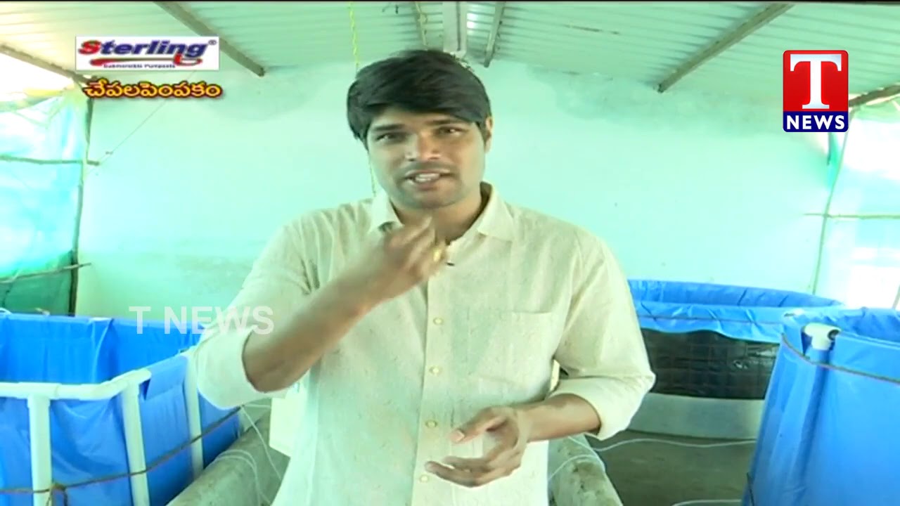 కొరమేను చేపల పెంపకం వివరాలు... వెంకట్ | షాదనగర్ | TNews Telugu