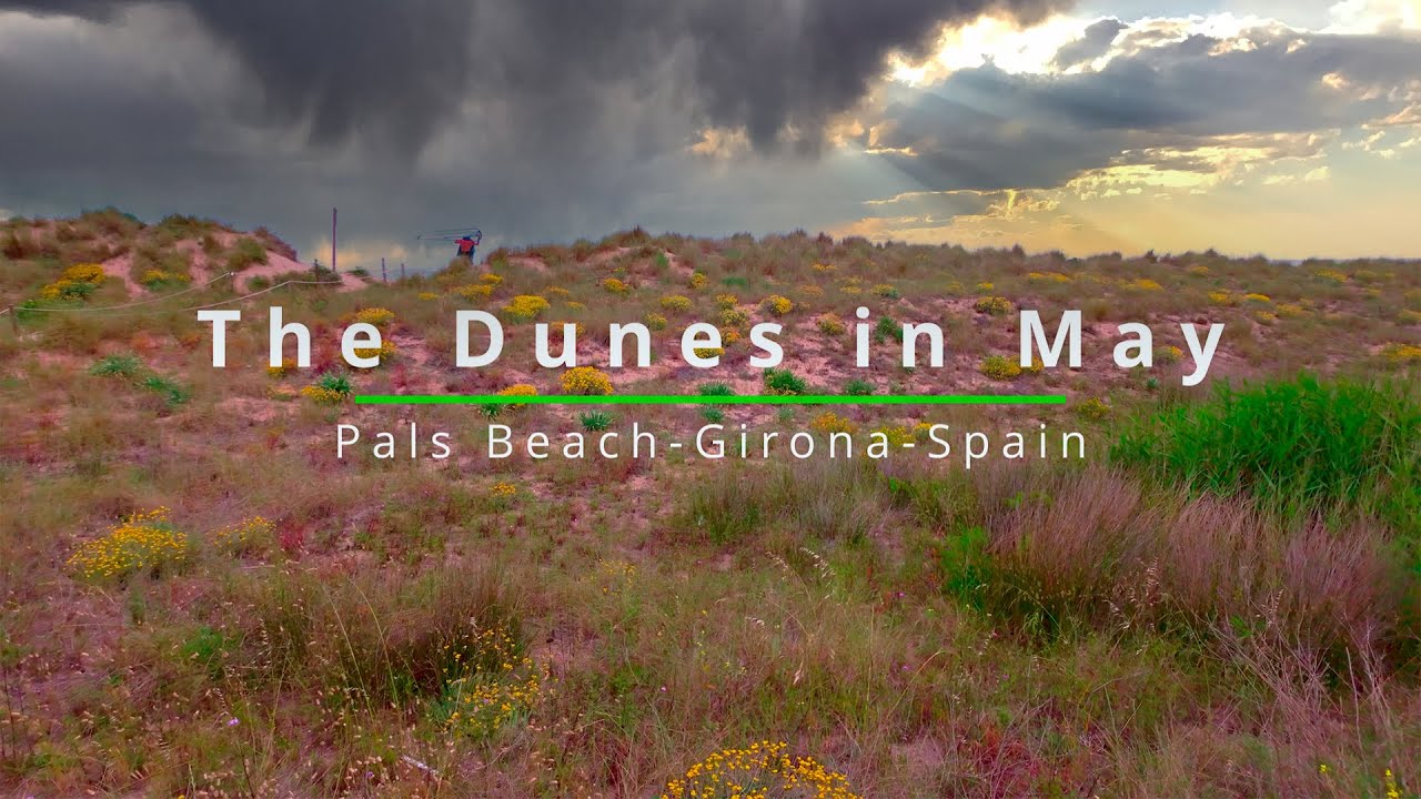 Platja de Pals (Pals Beach) Pals - Girona - Spain.