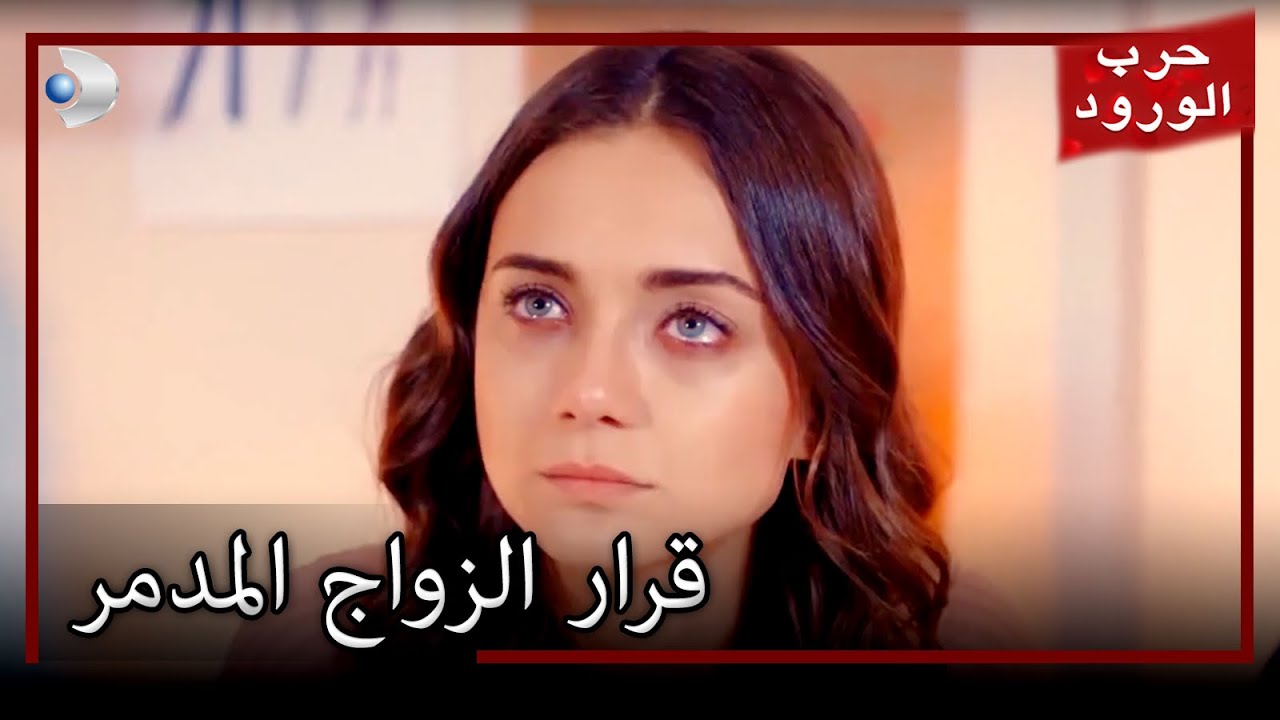 قرار الزواج المدمر معركة الورود الحلقة 36