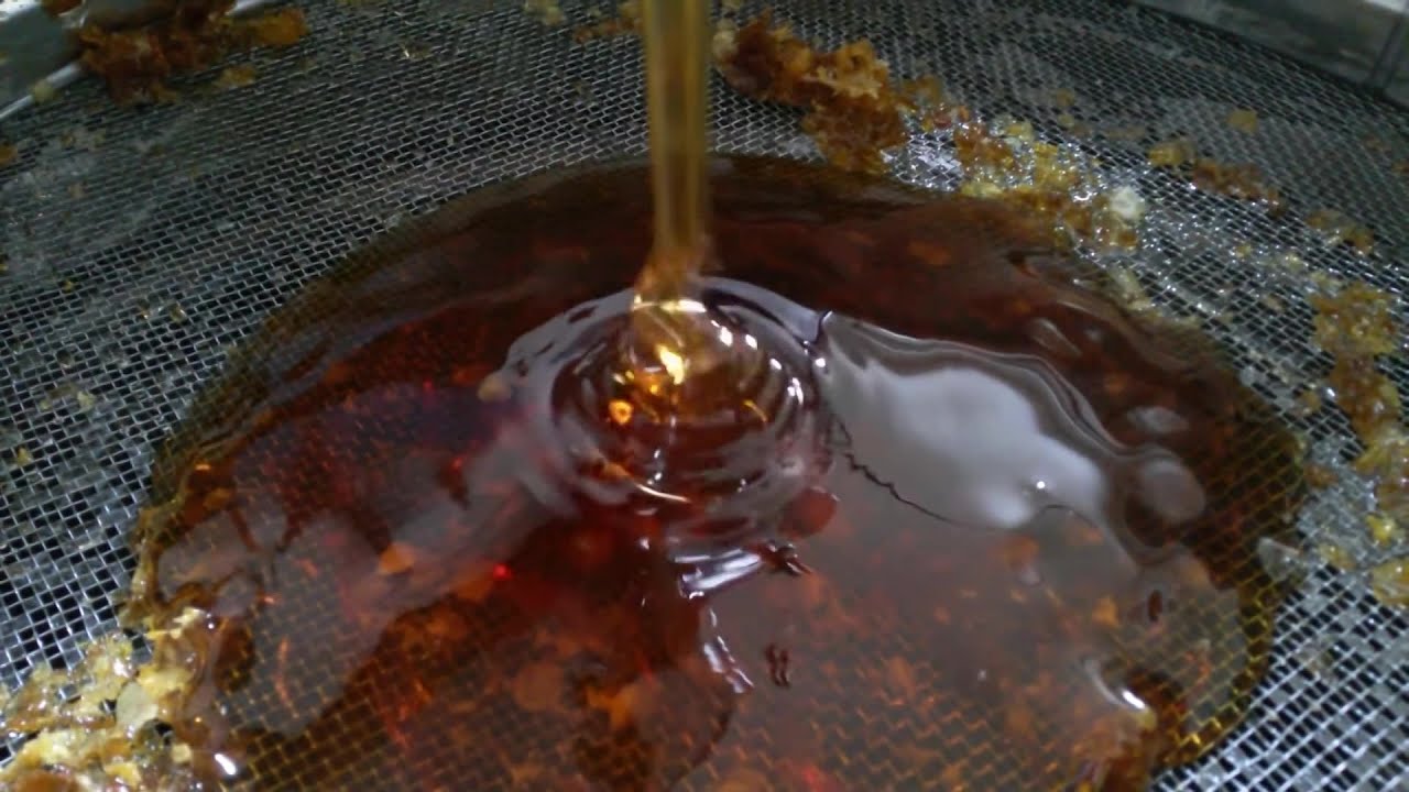 Pčelari u Vukovarsko srijemskoj županiji