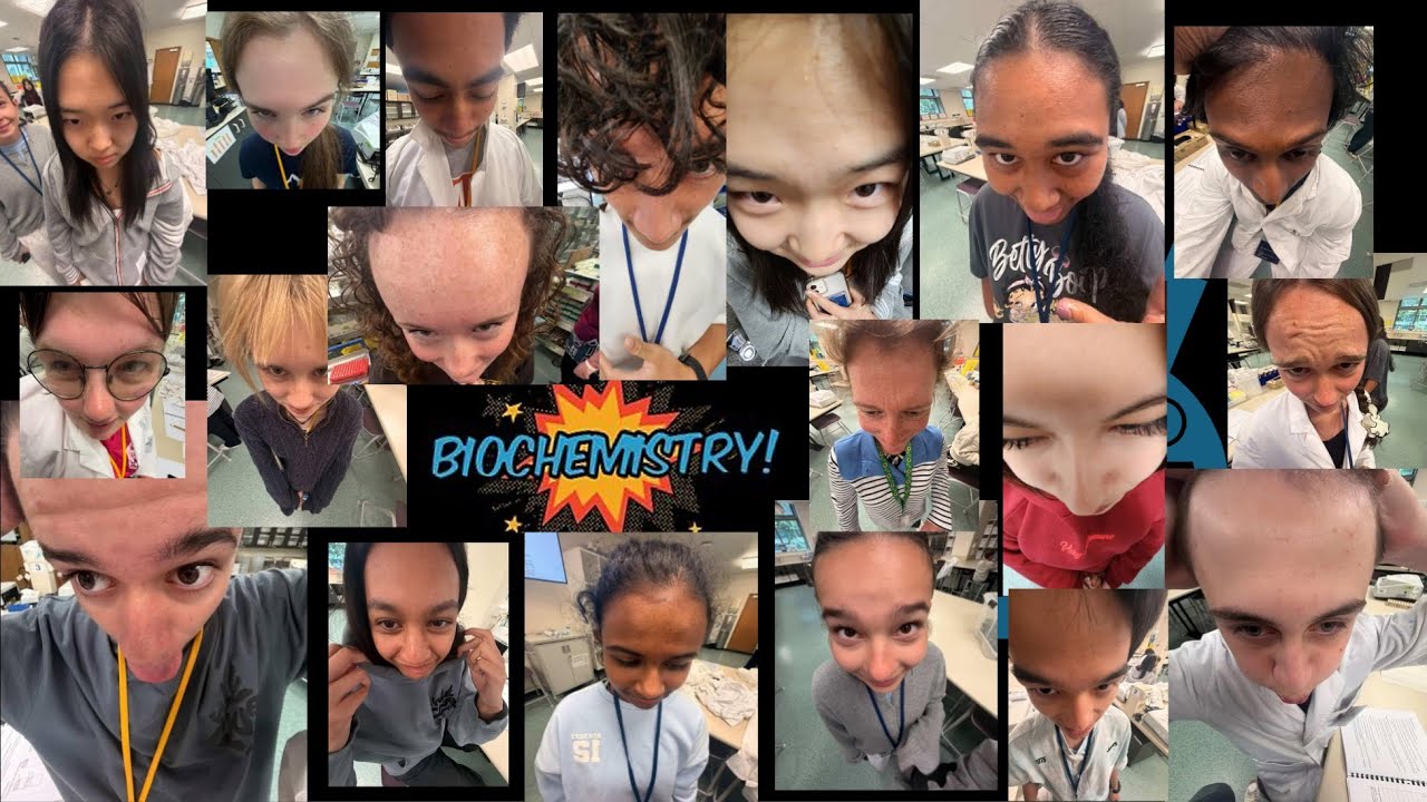 Hands on @ Otago Biochemistry 2026