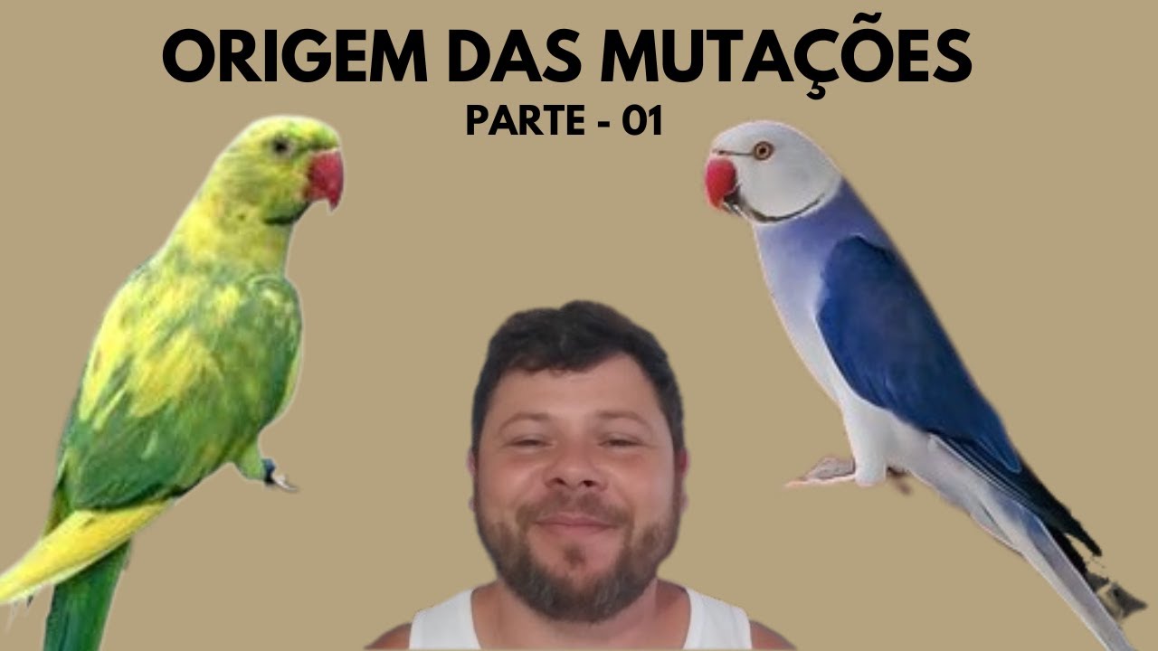 ORIGEM DAS MUTAÇÕES DE RING NECK- PARTE 01