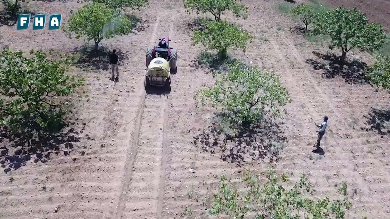مديرية الزراعة في مدينة الراعي وريفها تقوم برش أشجار الفستق الحلبي بالمبيدات الحشرية