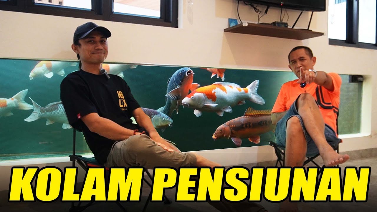 CERITA KOLAM KOI DALAM KAMAR COCOK UNTUK PENSIUNAN :  PAMAN KEKO