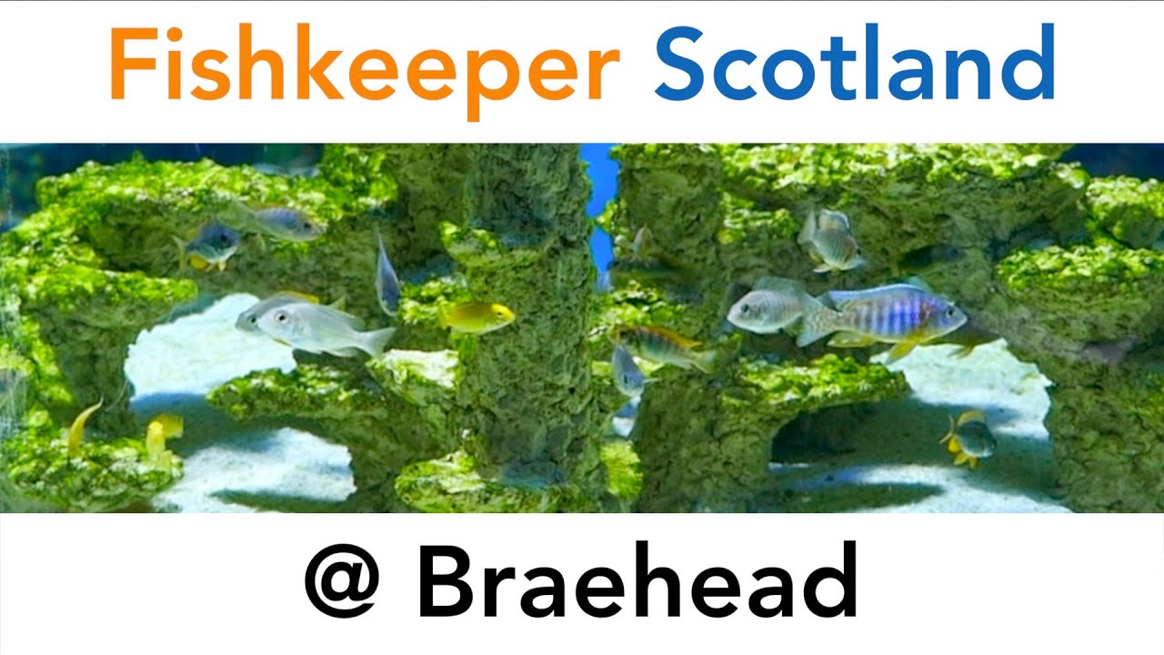 Fishkeeper Scotland @ Braehead