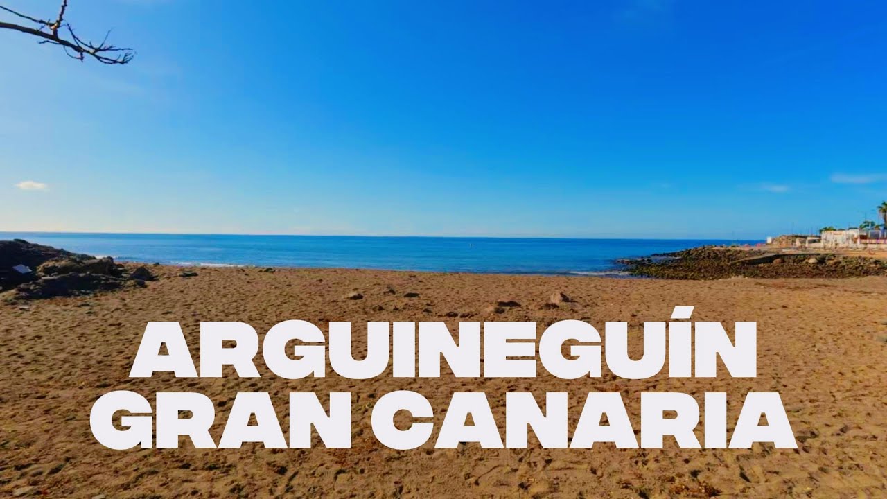 Invierno suave: migraciones y refugio en el sur de Gran Canaria. #061