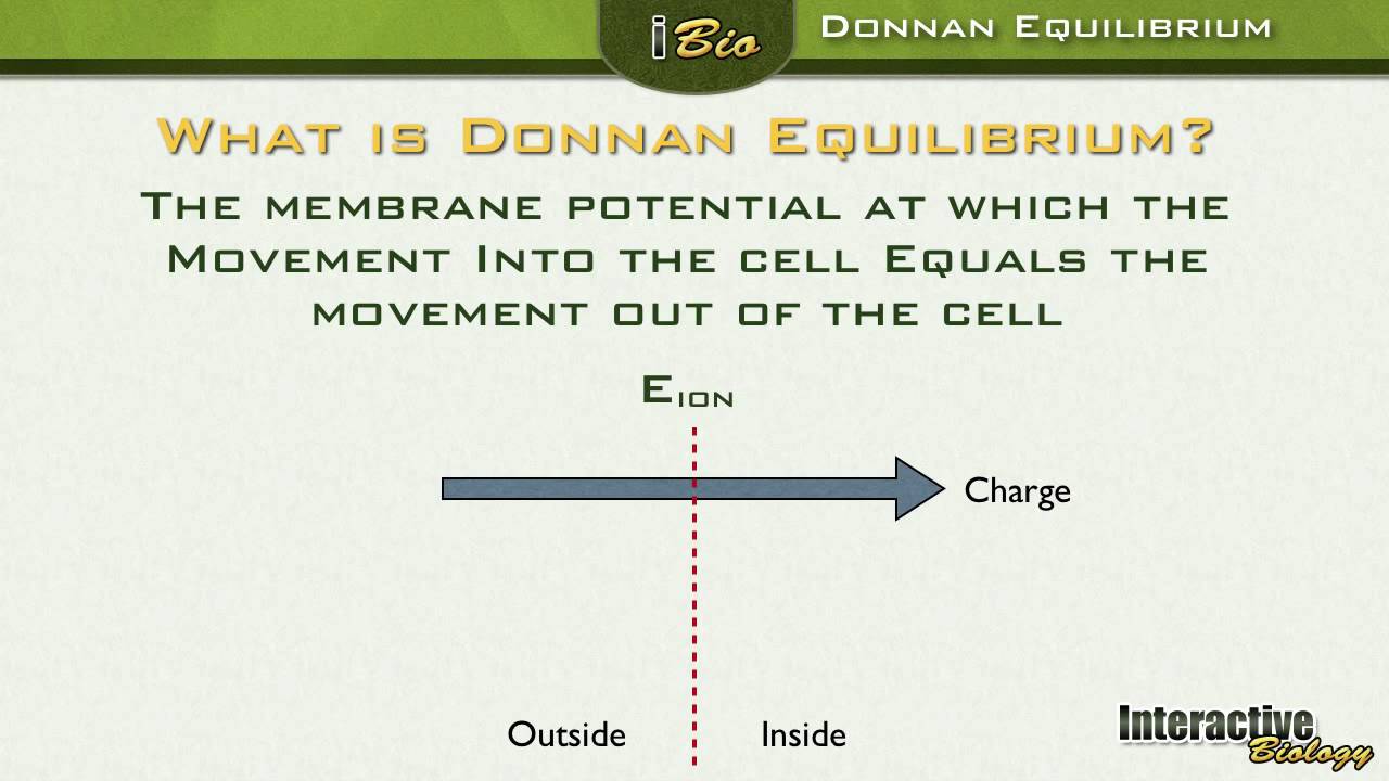 006 Donnan Equilibrium and Driving Force