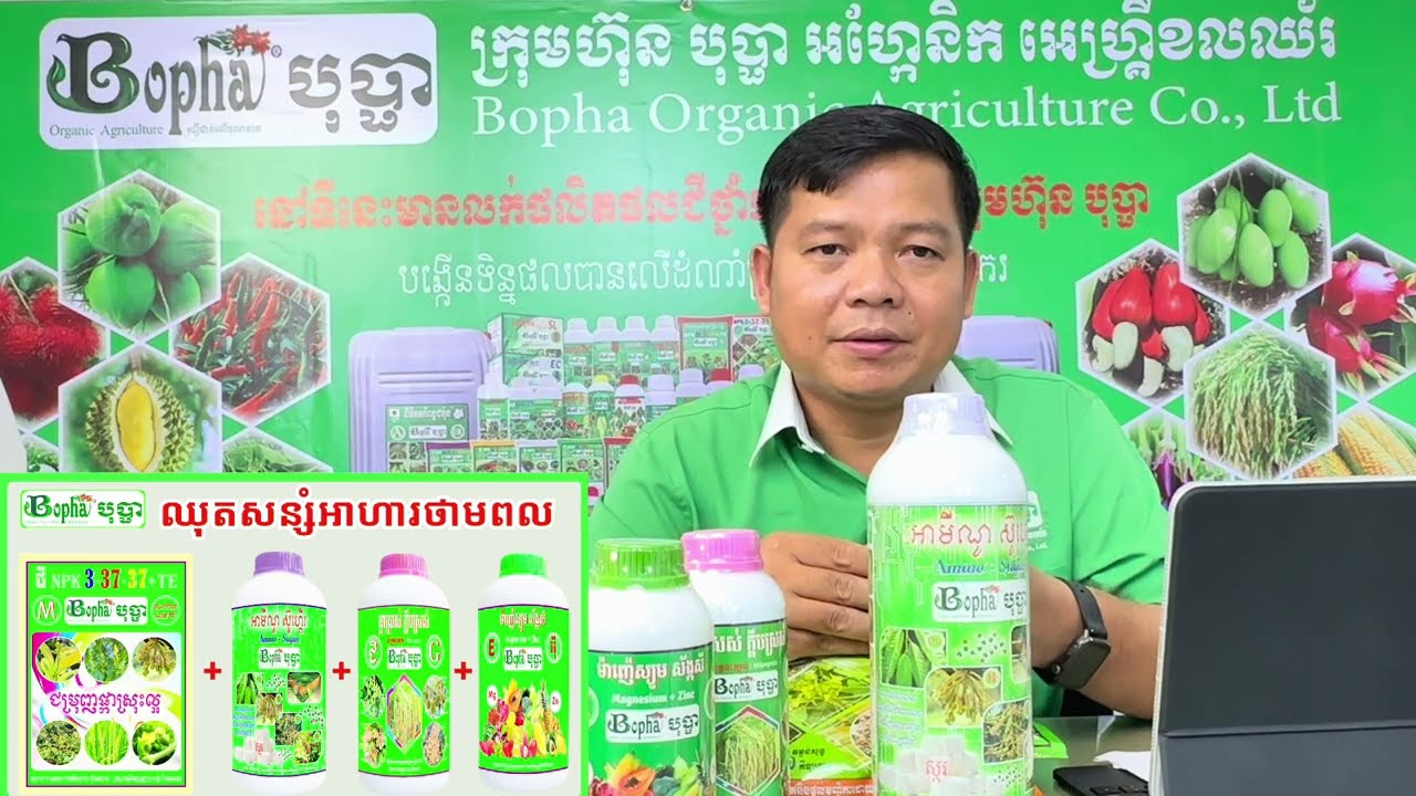 បច្ចេកទេសលើដំណាំស្វាយខុសរដូវ
