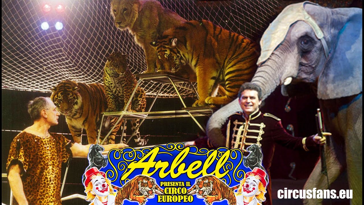 Circo Arbell con la gabbia mista di Fero Strnad e gli elefanti di Mario Bellucci (Bari, 2009)