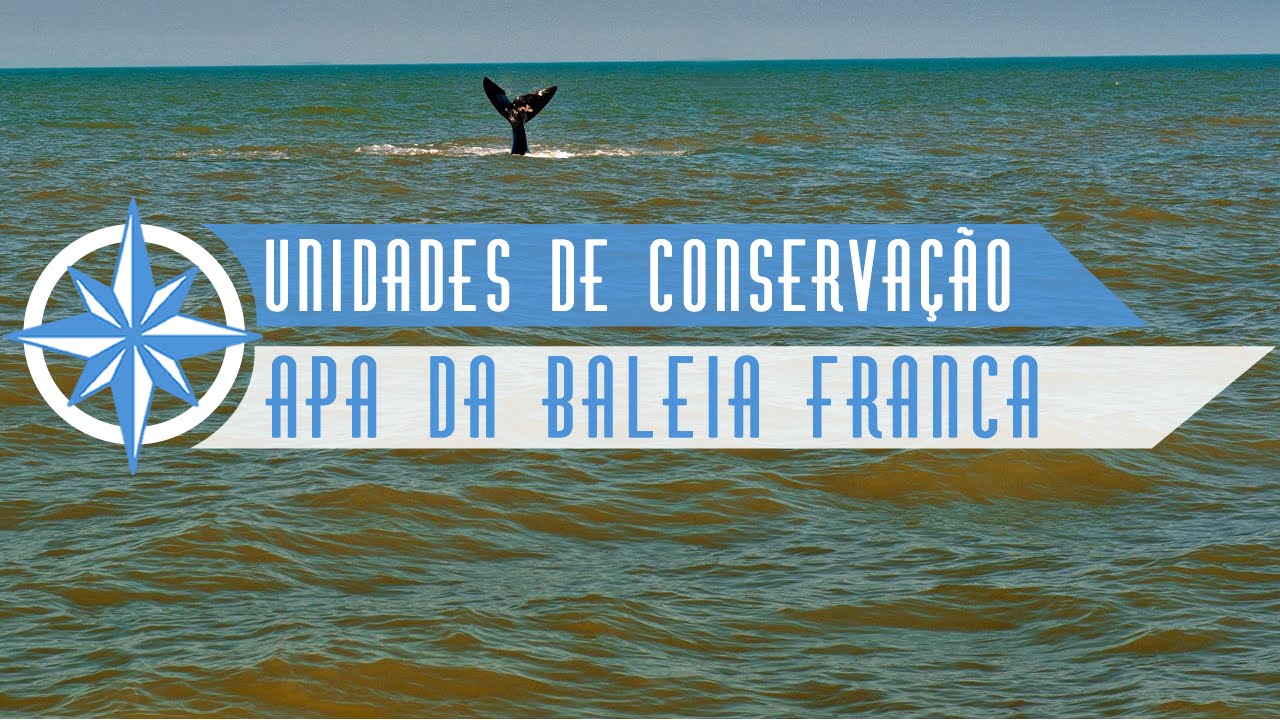 Área de Proteção Ambiental da Baleia Franca - Episódio 3